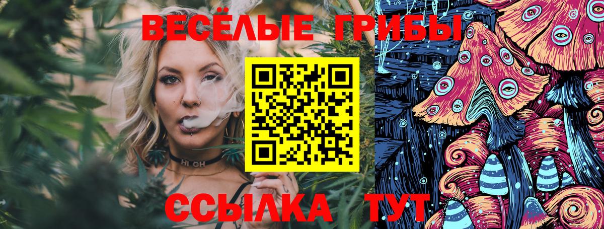 Псилоцибиновые грибы GOLDEN TEACHER Сунжа