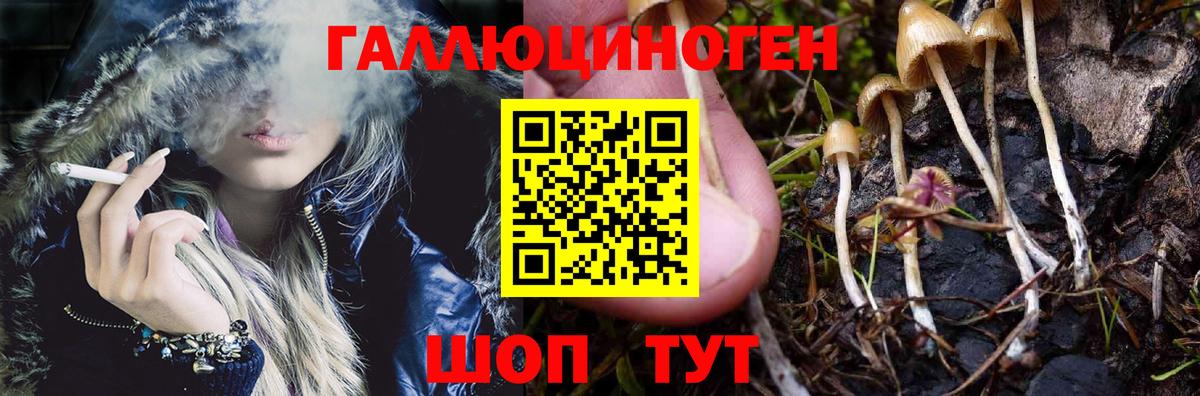 ГАШИШ Сунжа