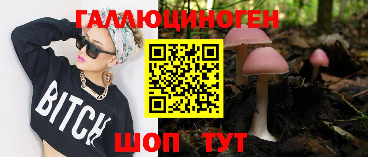 Галлюциногенные грибы Magic Shrooms  Вход с VPN  Сунжа 