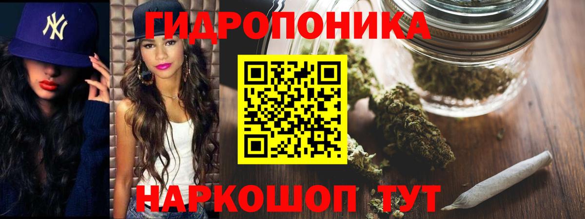 Шишки марихуана SATIVA & INDICA Сунжа